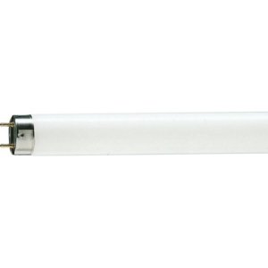 Zářivková trubice Philips MASTER TL-D GRAPHICA 36W/950 T8 G13 neutrální bílá 5300K