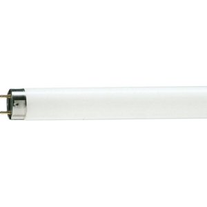 Zářivková trubice Philips MASTER TL-D 90 DE LUXE 36W/965 T8 G13 studená bílá 6500K