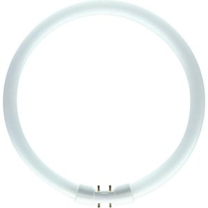 Kruhová zářivka Philips MASTER TL5 Circular 22W/840 T5 2GX13 neutrální bílá 4000K